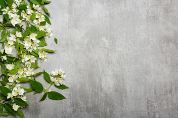 Jasmine flowers on gray concrete background