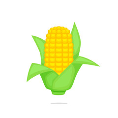 Obraz premium Corn vector isolated illustration