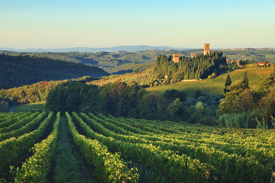 Italy, Tuscany, Firenze district, Chianti, Tavarnelle Val di Pesa