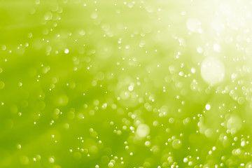 bokeh background lime green