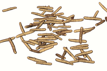 Mycobacterium avium-intracellulare isolated on white, MAI, non-tuberculous mycrobacteria which cause opportunistic infections in HIV-infected patients, 3D illustration