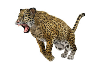 Naklejka premium 3D Rendering Big Cat Jaguar on White