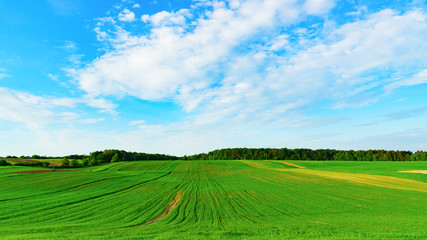 Green yellow agriculture countryside fields and white clouds on blue sky in summer day. Horizontal background, scenic adventures travel concept. Copy space.  Lonely calm mood meditative nature.