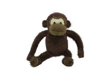 Brown monkey doll sitting, Isolated on white.