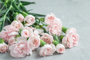 Small tender pink carnation flowers on gray concrete with copy space, mother's day greeting card background, horizontal