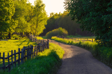 Rural Sweden summer landscape with road, green trees and wooden fence. Adventure scandinavian...