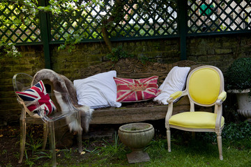Pillows on sofa and chairs in backyard
