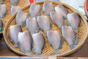 Trichogaster pectoralis Dry fish