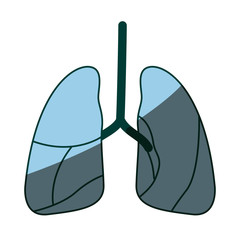 blue color shading silhouette respiratory system vector illustration