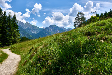 Fototapeta premium Wanderweg biketrail in den Allgäuer Alpen, Hinterstein, Hindelang