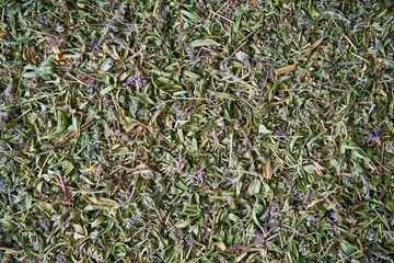 Dry thyme spice for food close up background.