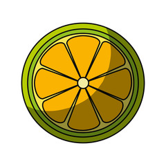 lemon slice citrus icon vector illustration graphic design