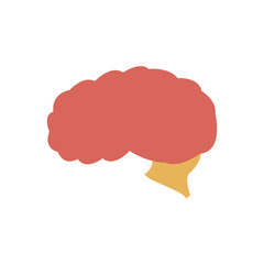 human brain organ creative idea think vector illustration