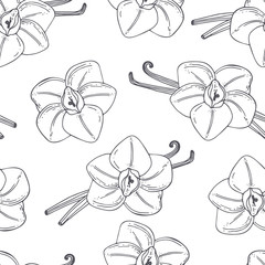 Hand drawn outline seamless pattern with vanilla. Black and white food background