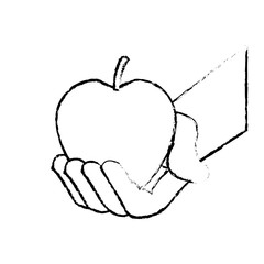 hand holding fresh apple food vector illustration