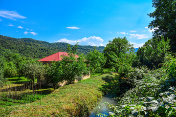 Fototapeta premium House in village