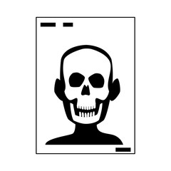 xray of head bone structure of human medical health vector illustration