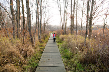 Young boy walking along boardwalk pathway, in nature reserve, rear view