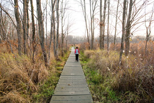 Young Boy Walking Along Boardwalk Pathway, In Nature Reserve, Rear View