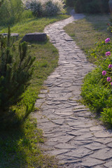 Stone pathway near trees and flowers into garden during day time