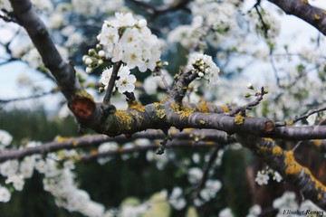 Processed with VSCO with hb2 preset