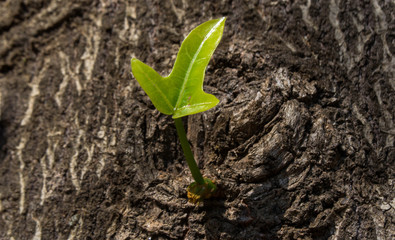 New Beginings