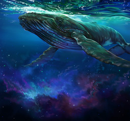 Obraz premium Wieloryb i gwiazdy