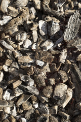 Grillkohle mit gut und Asche