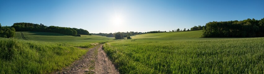 Fototapeta na wymiar Green field and clear blue sky sun panorama