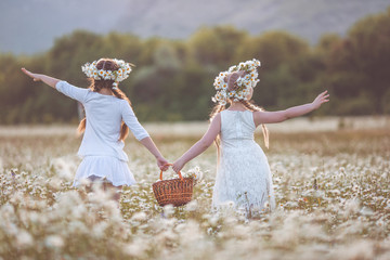 Two cute child girls at camomile field with basket of flowers