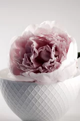 Papier peint photo Pivoines pivoines  © JNT Visual