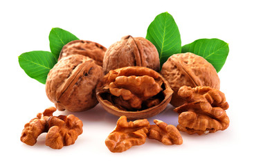Walnut with leaves and a shell on a white background