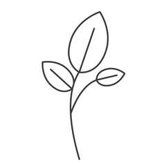 monochrome silhouette of branch and leaves vector illustration