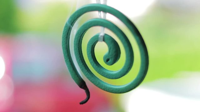 Close Up of Mosquito Coil