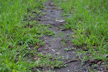 Hiking walkway