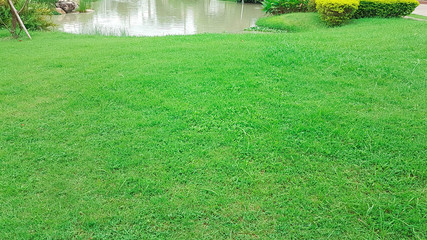 Large Lawn with pond in the garden
