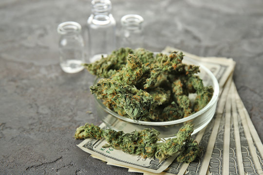 Heap of weed buds in Petri dish with  money on grey background