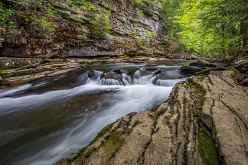 flowing water and summer foliage at the bottom of piney creek gorge in tennessee