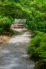Walk way to park bench