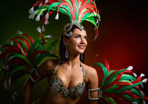  Beautiful girl in carnival costume.