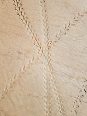 Bicycle track on the sand, beach, print