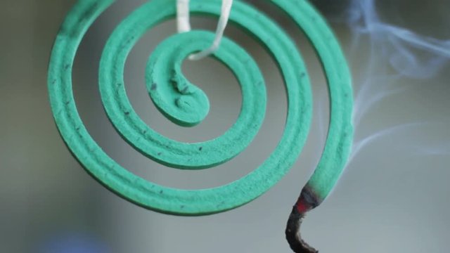 Close Up of Mosquito Coil