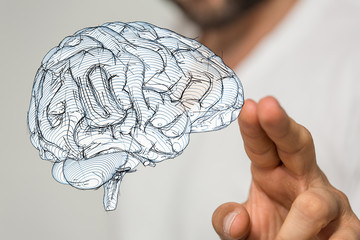 brain