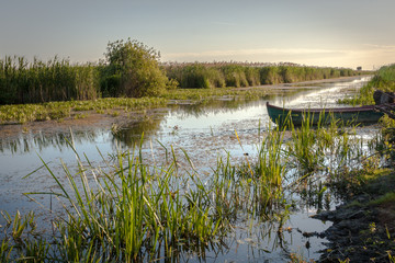 Beautiful river with green reeds and a boat docked in the bank of the river. Danube Delta (Romania)
