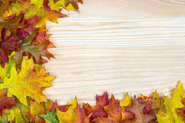 Naklejka na ściany i meble verschiedenfarbige Blätter liegen auf einem Holz Hintergrund mit Textfreiraum