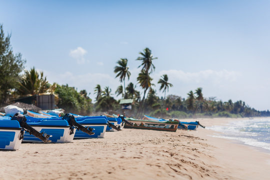 The group of motor boats of rescuers has a rest on the sandy ocean coast against the background of palm trees.