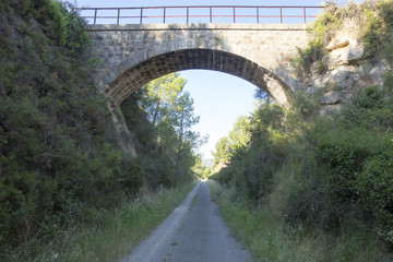 Fototapeta premium By the way green eyes black in the province of Castellón