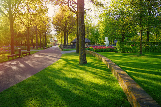 Beautiful spring landscape with green lawn