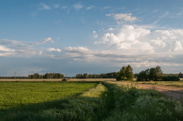 Obraz premium Tractor rides on the road,