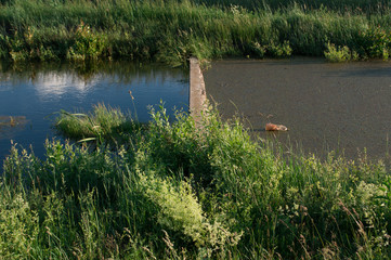 Naklejka premium Environmental pollution,